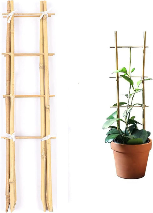 Cambaverd 24 Inch Trellis for Potted Plants, 3 Pack Bamboo Trellis Indoor,