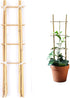 Cambaverd 24 Inch Trellis for Potted Plants, 3 Pack Bamboo Trellis Indoor,