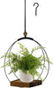 Hanging Planter for Indoor Plants, Black Plant Hanger Indoor with Sturdy Wood