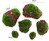 6Pcs Foam Moss Green Hay Stone DIY Family Garden Decoration Vase Glass Moss Miniature Landscape Artificial Plant by Vctitil