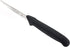 Mercer Culinary BPX 4-Inch Paring Knife