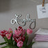 Metal Laundry Sign for Wall Decor - Silver, 11 X 6.3 Inches Hand Polished Stainless Steel with Installation Kit