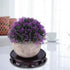 Wooden Display Stand for Teapot, Vase, Bonsai, Home Office Decorative Base