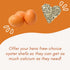 Revolutionary Chicken Oyster Shell Feeder for Chickens