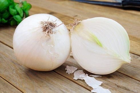SeedsUA Seeds Onion White Queen Giant Heirloom Vegetable for Planting Non GMO