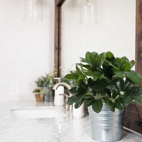 GTIDEA Artificial Shrubs Plants Fake Silk Schefflera Bushes, Faux Greenery Leaf Arrangements, 2pcs for Indoor Outdoor