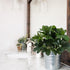 GTIDEA Artificial Shrubs Plants Fake Silk Schefflera Bushes, Faux Greenery Leaf Arrangements, 2pcs for Indoor Outdoor