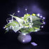 24 Pack Lights7FT 20 Fairy Lights Battery Operated String Mini LEDs for Bedroom Party Birthday Wedding Indoor
