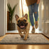 19" 30" MudGuard Mat Dog Door Mat for Muddy Paws, Super Absorbent Microfiber, Non-Slip Indoor Mat, Quick Dry Chenille
