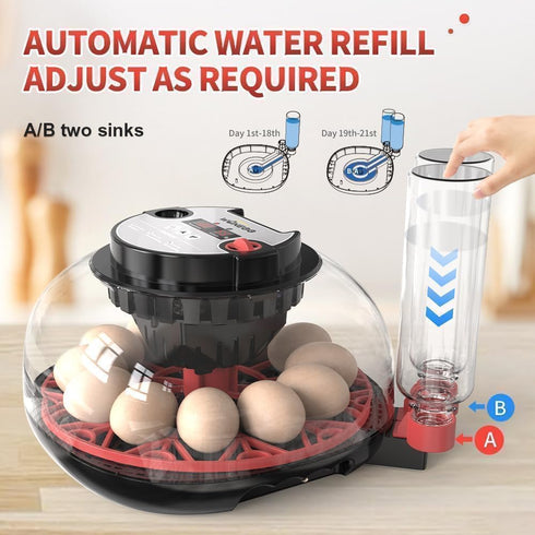 ShellBr8ker 12 Nest II - Egg Incubator for Beginners, Multi-Level Adaptive Humidity (Auto-Refill & Dual-Bottle)