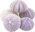 Nautical Crush Trading Sea Urchins Shells for Air Plants, 5 Purple (1.5-2.5") Hanging Holders, No Plants Included