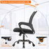 Ergonomic Office Chair, Home Desk Task Mesh Computer Chair with Lumbar Support, Adjustable Rolling Swivel