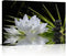 Canvas Wall Art - White Lotus and Black Zen Stones Picture, Modern Wall Decor, 12" x 16"