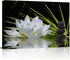 Canvas Wall Art - White Lotus and Black Zen Stones Picture, Modern Wall Decor, 12" x 16"