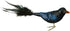Old World Christmas Raven Glass Blown Ornament for Christmas Tree