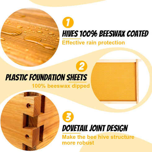 8 Honey Lake Frame Beehive Medium Super Box, Langstroth Beeswax Coated Bee Hive Super Box with Frames and Waxed