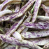 20 Dragon's Tongue Bush Bean Seeds - Large Bean Seeds - Marde Ross & Company