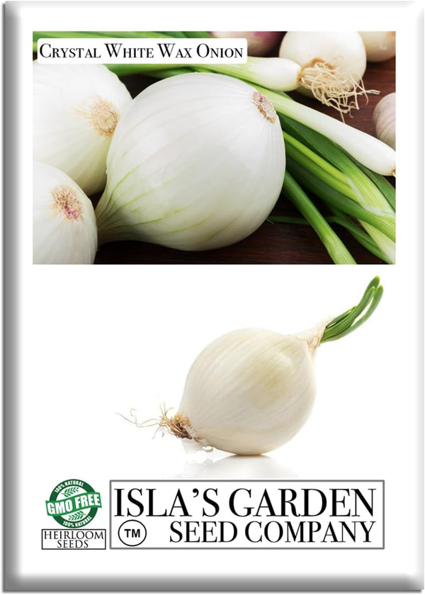 Crystal White Wax Onion Seeds (Allium cepa) 500+ Non-GMO Heirloom Seeds by