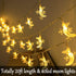 Fielegen 40 LED Moon String Lights - Battery Operated 20ft Mini Star Fairy Lights for Garden, Wedding, Party Decorations