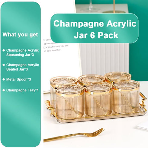 6 Pack,Seasoning Set Acrylic Condiment Spice Jars,Condiment Spice Box With Lids and Spoons and Tray,Clear Plastic