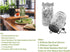 Lulonpon Sprouting Kit, 2 Sprouting Jar Kits with Stainless Steel Screen Lids, Seed Sprouter Set for Broccoli
