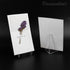 Framendino 20 Pack Triangle Acrylic Easel Stands for Display, Mini Picture Frame Holders for Home Decor