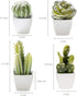 Artificial Mini Succulent & Cactus Plants, Set of 4 in White Cube-Shaped Pots for Home Decor