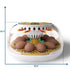 Meuiosd 12-24 Egg Incubator Eggs Automatic Intelligent Incubators for Hatching Eggswith Automatic Turner