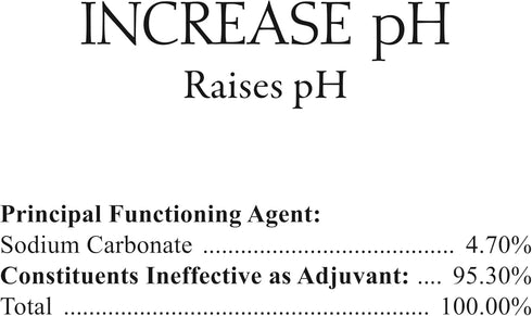 1-Quart SpaChoice Premium Increase pH, Liquid pH Increaser for Hot Tub, Made in USA
