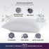 PureCare Kids Rise & Shine Pillow Protector, Youth 21" x 16".