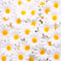 JOHOUSE 200PCS Silk Daisy Flower Heads, Artificial Daisies Table Confetti for Baby Showers