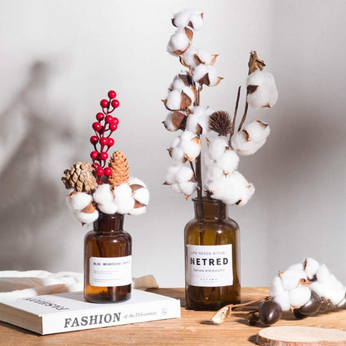 DomeStar Natural Dried Cotton Stems, 8 Packs Total, 15 Bolls Cotton Sprigs Blooms for Vase Fillers