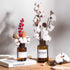 DomeStar Natural Dried Cotton Stems, 8 Packs Total, 15 Bolls Cotton Sprigs Blooms for Vase Fillers