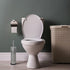 Blue Toilet Brush with Stainless Steel Holder, Chrome Cleaning Brush Holder, Toilet Bowl Cleaner