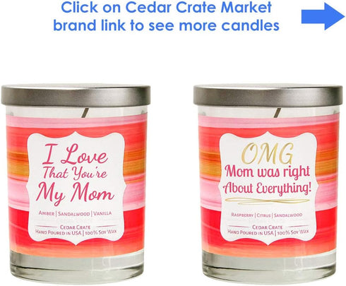 Funny Candle - OMG Mom was Right About Everything! - Best Mom Candles from Daughter, Son, Luxury Scented Gifts for
