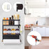 Dr.BeTree Magnetic Spice Rack for Refrigerator, Magnetic Paper Towel Holder Shelf, Kitchen Organization and Storage