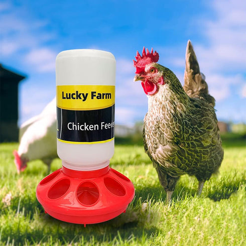 Lucky Farm 1L Chick Feeder and Waterer kit Drinker & Feeder for Chickens Broilers,& Birds Quail Pigeon
