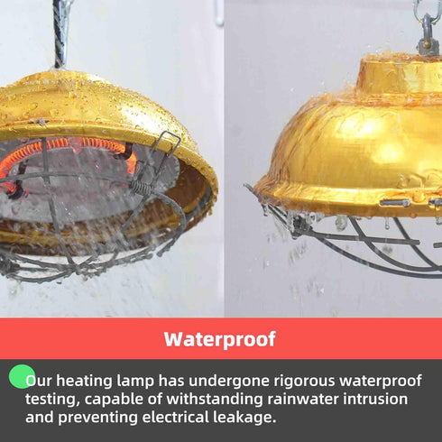 LEWINHOOK lamp300 Chicken Coop Heater Inside Coop heat Watt Two-Stage Temperature Brooder Heater for Chicks