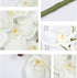 FagusHome 6 Pcs Artificial Phalaenopsis Flowers with 6 Bundles Leaves, Artificial Orchid Flowers Stem Plants for Home