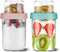 4oz 16 oz Glass Overnight Oats Containers with Lids 2Pack, Yogurt Parfait