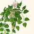 Kalolary 84 Feet Scindapsus Artificial Ivy Garland, 12 Strands Green Leaves Vine for Wedding Arch, Party Decoration
