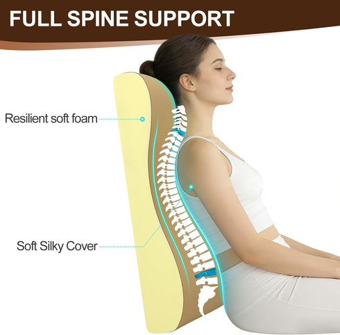 2-in-1 HAVARGO Neck Pillow Lumbar Support Pillow for Recliner Couch & Nursery Glider Chairs- High-Resilient Foam