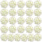 Auihiay 26 Pieces Artificial Flowers Hydrangea Silk Heads with Stems for Home Wedding Party Decorations (Ivory)