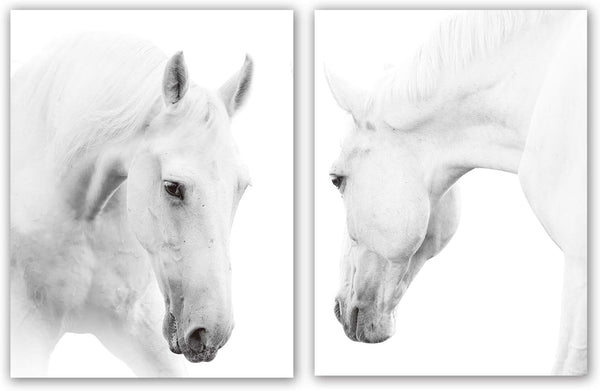 HPNIUB White Horse Wall Art Print Set of 2 (12”X16”, Unframed, Black White Canvas Artwork for Bedroom Decoration)