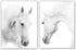 HPNIUB White Horse Wall Art Print Set of 2 (12”X16”, Unframed, Black White Canvas Artwork for Bedroom Decoration)