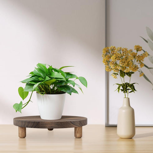MADOCEGO 2 9.8 Inches) Pcs Wood Plant Stand Wooden Plant Stool Round Riser Display Stand Flower Pot Holder Low Plant