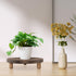 MADOCEGO 2 9.8 Inches) Pcs Wood Plant Stand Wooden Plant Stool Round Riser Display Stand Flower Pot Holder Low Plant