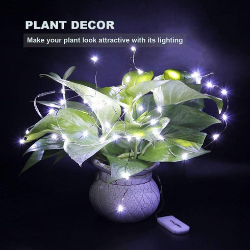 CYLAPEX 24 Pack Cool White Fairy Lights String, 3.3ft 20 LEDs Battery Operated Silver Coated Copper Wire for DIY Decor