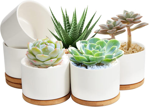 ZOUTOG 4 Inch Ceramic Plant Pot, Pack of 6 White Succulent Pots with Drainage Hole & Bamboo Tray for Home, Office Decor