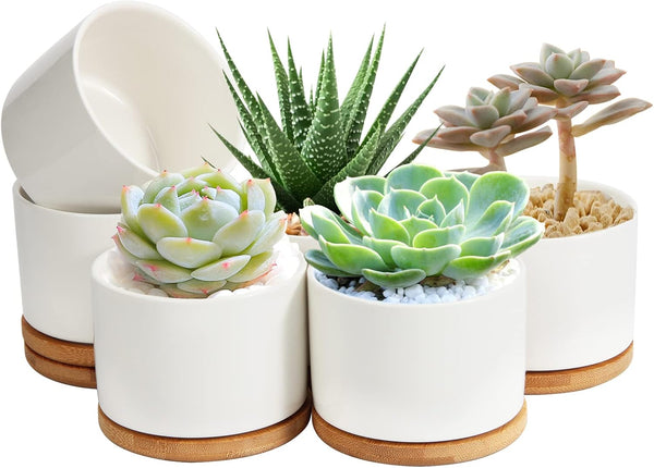 ZOUTOG 4 Inch Ceramic Plant Pot, Pack of 6 White Succulent Pots with Drainage Hole & Bamboo Tray for Home, Office Decor